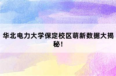 华北电力大学保定校区萌新数据大揭秘！