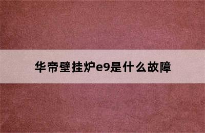 华帝壁挂炉e9是什么故障