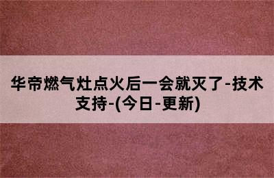 华帝燃气灶点火后一会就灭了-技术支持-(今日-更新)