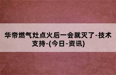 华帝燃气灶点火后一会就灭了-技术支持-(今日-资讯)