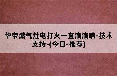 华帝燃气灶电打火一直滴滴响-技术支持-(今日-推荐)