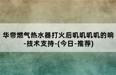 华帝燃气热水器打火后叽叽叽叽的响-技术支持-(今日-推荐)