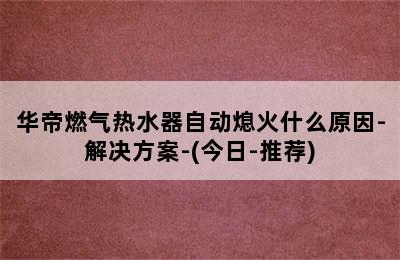 华帝燃气热水器自动熄火什么原因-解决方案-(今日-推荐)