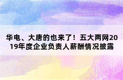 华电、大唐的也来了！五大两网2019年度企业负责人薪酬情况披露