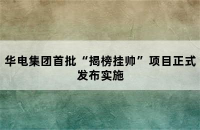 华电集团首批“揭榜挂帅”项目正式发布实施