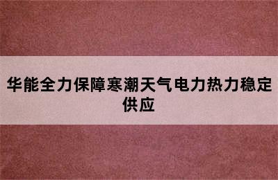 华能全力保障寒潮天气电力热力稳定供应