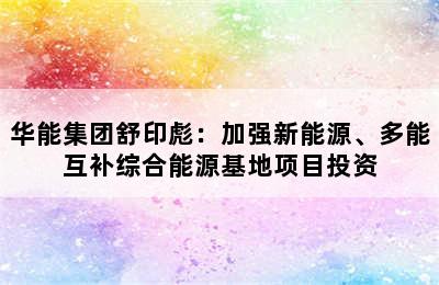 华能集团舒印彪：加强新能源、多能互补综合能源基地项目投资