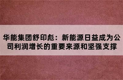 华能集团舒印彪：新能源日益成为公司利润增长的重要来源和坚强支撑