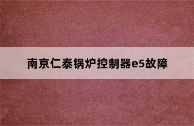 南京仁泰锅炉控制器e5故障