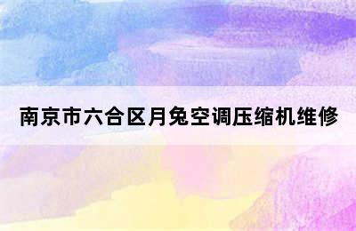 南京市六合区月兔空调压缩机维修