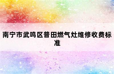 南宁市武鸣区普田燃气灶维修收费标准