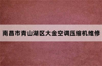 南昌市青山湖区大金空调压缩机维修