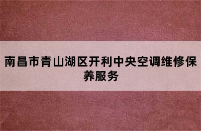 南昌市青山湖区开利中央空调维修保养服务