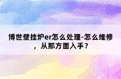 博世壁挂炉er怎么处理-怎么维修，从那方面入手？