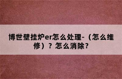 博世壁挂炉er怎么处理-（怎么维修）？怎么消除？