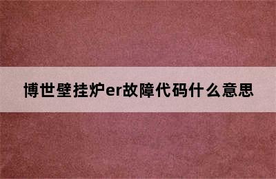 博世壁挂炉er故障代码什么意思