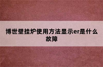 博世壁挂炉使用方法显示er是什么故障