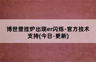 博世壁挂炉出现er闪烁-官方技术支持(今日-更新)