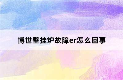 博世壁挂炉故障er怎么回事