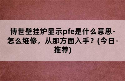 博世壁挂炉显示pfe是什么意思-怎么维修，从那方面入手？(今日-推荐)