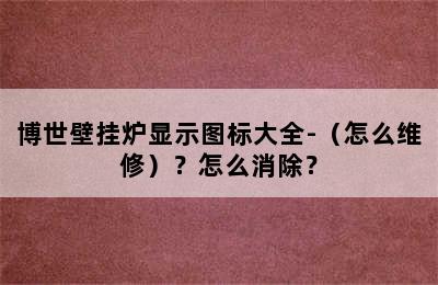 博世壁挂炉显示图标大全-（怎么维修）？怎么消除？