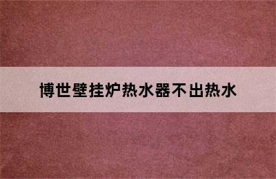 博世壁挂炉热水器不出热水