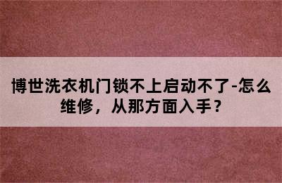 博世洗衣机门锁不上启动不了-怎么维修，从那方面入手？