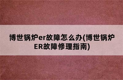 博世锅炉er故障怎么办(博世锅炉ER故障修理指南)