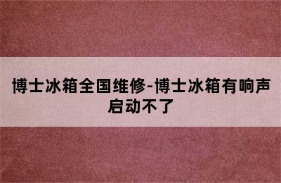 博士冰箱全国维修-博士冰箱有响声启动不了