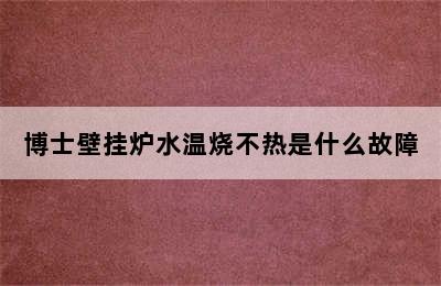 博士壁挂炉水温烧不热是什么故障