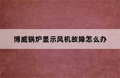 博威锅炉显示风机故障怎么办