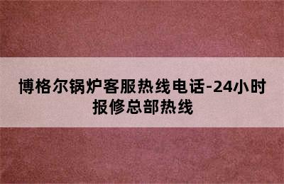 博格尔锅炉客服热线电话-24小时报修总部热线