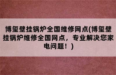 博玺壁挂锅炉全国维修网点(博玺壁挂锅炉维修全国网点，专业解决您家电问题！)