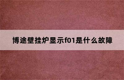 博途壁挂炉显示f01是什么故障