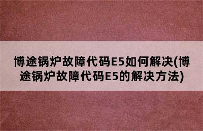 博途锅炉故障代码E5如何解决(博途锅炉故障代码E5的解决方法)