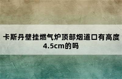 卡斯丹壁挂燃气炉顶部烟道口有高度4.5cm的吗