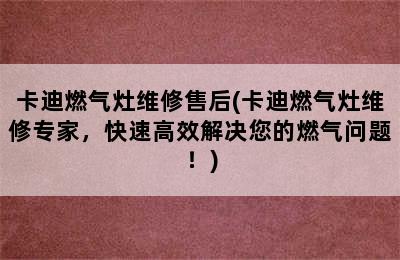 卡迪燃气灶维修售后(卡迪燃气灶维修专家，快速高效解决您的燃气问题！)