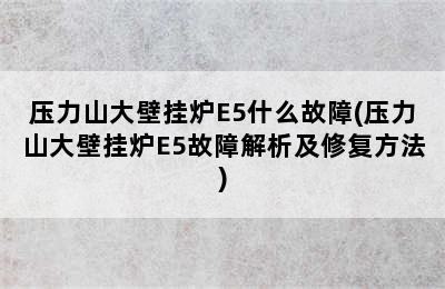 压力山大壁挂炉E5什么故障(压力山大壁挂炉E5故障解析及修复方法)