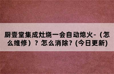 厨壹堂集成灶烧一会自动熄火-（怎么维修）？怎么消除？(今日更新)