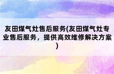 友田煤气灶售后服务(友田煤气灶专业售后服务，提供高效维修解决方案)