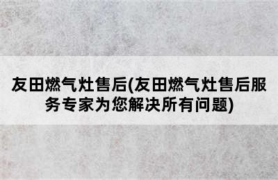 友田燃气灶售后(友田燃气灶售后服务专家为您解决所有问题)