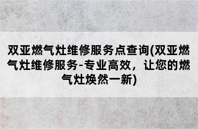 双亚燃气灶维修服务点查询(双亚燃气灶维修服务-专业高效，让您的燃气灶焕然一新)