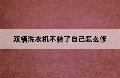 双桶洗衣机不转了自己怎么修