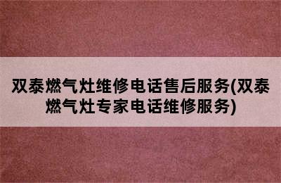 双泰燃气灶维修电话售后服务(双泰燃气灶专家电话维修服务)