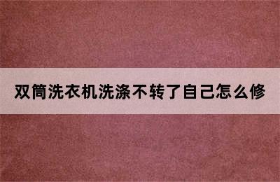 双筒洗衣机洗涤不转了自己怎么修