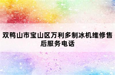 双鸭山市宝山区万利多制冰机维修售后服务电话