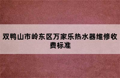 双鸭山市岭东区万家乐热水器维修收费标准