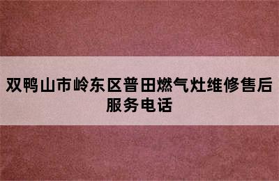 双鸭山市岭东区普田燃气灶维修售后服务电话