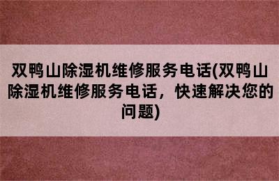 双鸭山除湿机维修服务电话(双鸭山除湿机维修服务电话，快速解决您的问题)