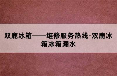 双鹿冰箱——维修服务热线-双鹿冰箱冰箱漏水